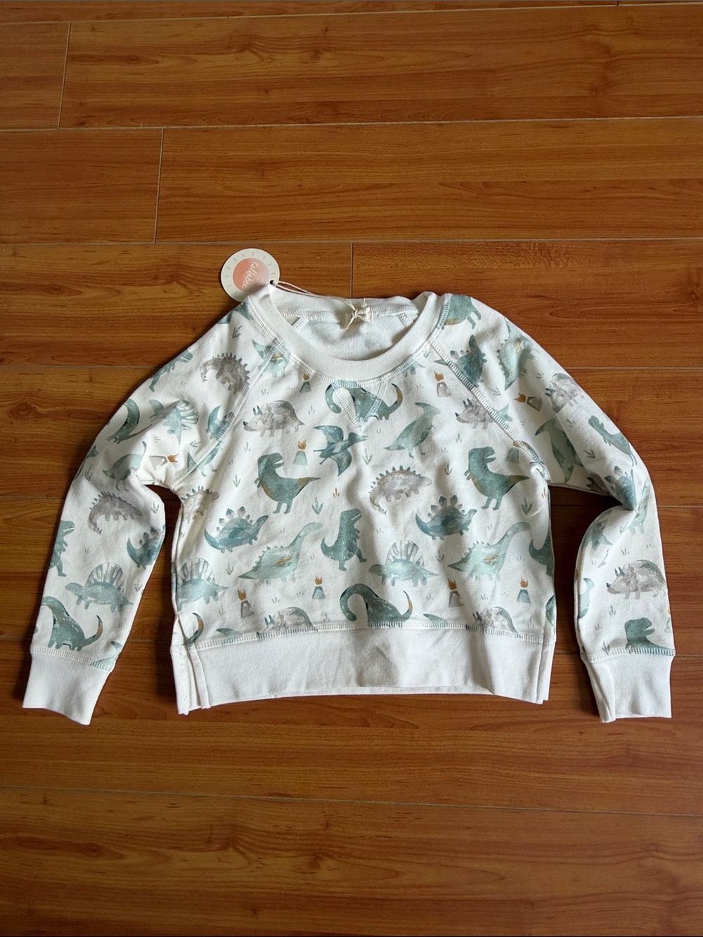 Tullabee Dinosaur Sweater 4T